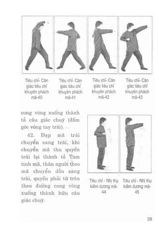 Vịnh xuân kungfu   tập 2