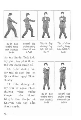 Vịnh xuân kungfu   tập 2