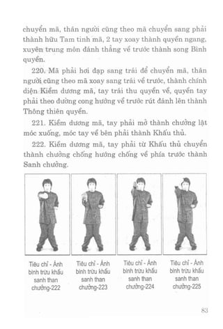 Vịnh xuân kungfu   tập 2