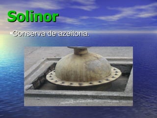 Solinor Conserva de azeitona. 