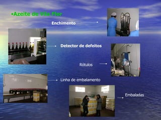 Azeite de Vila Flor Enchimento Detector de defeitos Rótulos Linha de embalamento Embaladas 