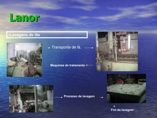 Lanor Lavagens de lãs Transporte de lã. Maquinas de tratamento Processo de lavagem Fim da lavagem 