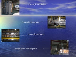 Colocação de rótulos colocação em packs Colocação de tampas Embalagem de transporte 