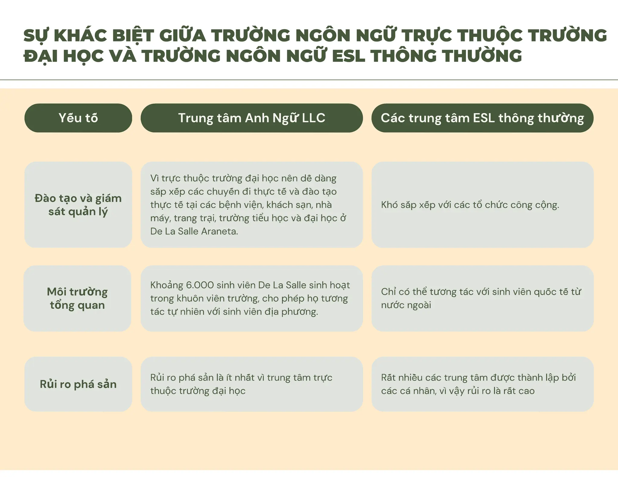 VN_LLC INTRODUCTION_2023 2.pdf