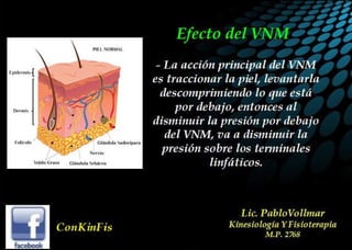 Principios Básicos del kinesiotaping