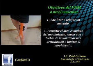 Principios Básicos del kinesiotaping