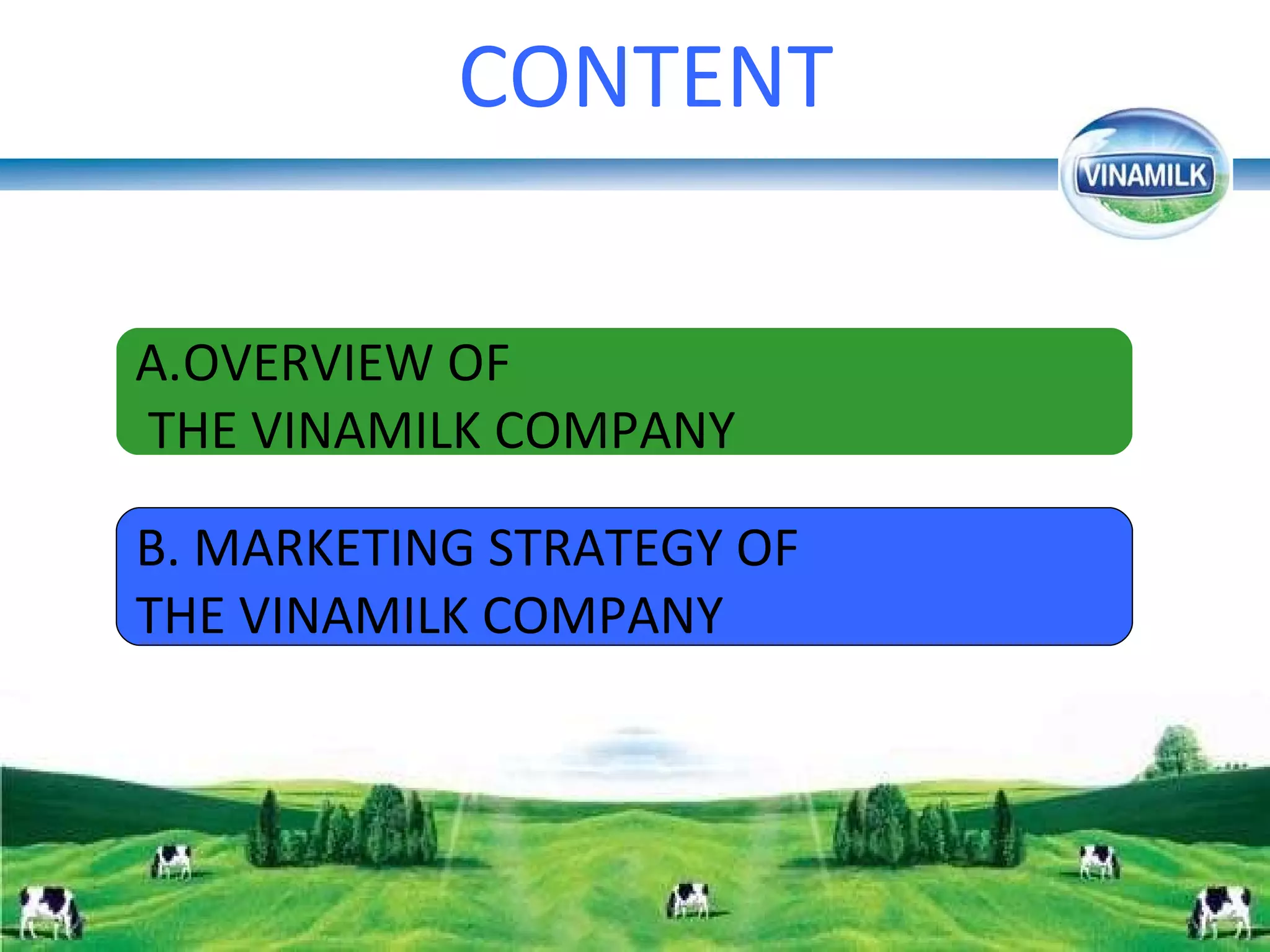 CONTENT OVERVIEW OF THE VINAMILK COMPANY B. MARKETING STRATEGY OF THE VINAMILK COMPANY