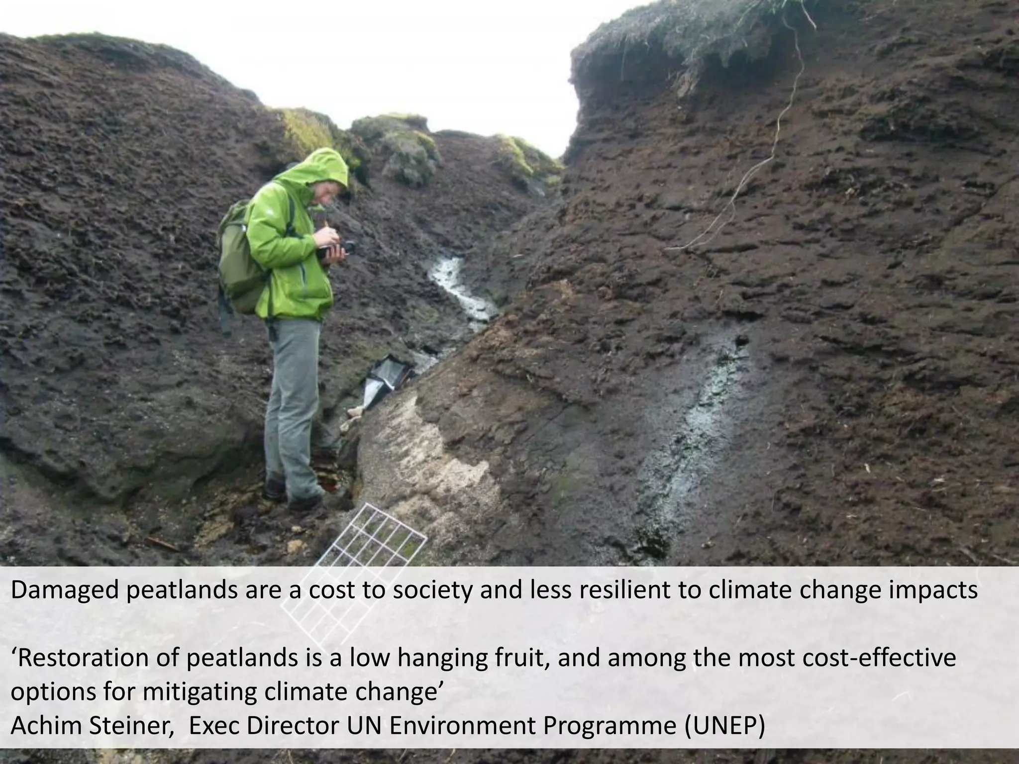 Damaged peatlands are a cost to society and less resilient to climate change impacts

‘Restoration of peatlands is a low hanging fruit, and among the most cost-effective
options for mitigating climate change’
Achim Steiner, Exec Director UN Environment Programme (UNEP)
 