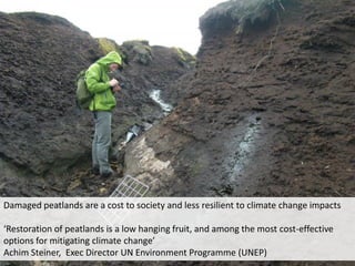 Damaged peatlands are a cost to society and less resilient to climate change impacts

‘Restoration of peatlands is a low hanging fruit, and among the most cost-effective
options for mitigating climate change’
Achim Steiner, Exec Director UN Environment Programme (UNEP)
 