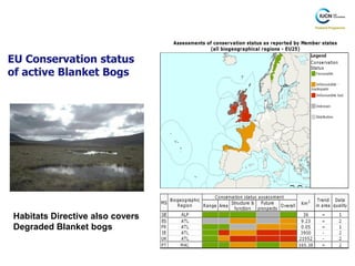 EU Conservation status
of active Blanket Bogs




Habitats Directive also covers
Degraded Blanket bogs
 