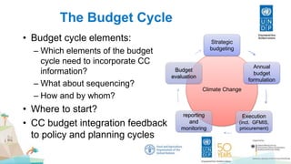 The Budget Cycle
• Budget cycle elements:
– Which elements of the budget
cycle need to incorporate CC
information?
– What about sequencing?
– How and by whom?
• Where to start?
• CC budget integration feedback
to policy and planning cycles
Climate Change
Strategic
budgeting
Annual
budget
formulation
Execution
(incl. GFMIS,
procurement)
reporting
and
monitoring
Budget
evaluation
 