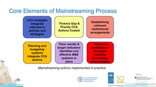 Core Elements of Mainstreaming Process
CCA strategies
integrally
reflected in
policies and
strategies
Finance Gap &
Priority CCA
Actions Costed
Establishing
coherent
institutional
arrangements
Planning and
budgeting
systems
integrate CCA
actions
Clear results &
target indicators
identified and
effective M&E
systems in
place
“Resource
mobilization”
strategies
(funding,
knowledge,
technologies)
Mainstreaming actions implemented in practice
 