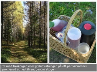 Ta med fikakorgen eller grillutrustningen på ett par kilometers
promenad utmed älven, genom skogen
 