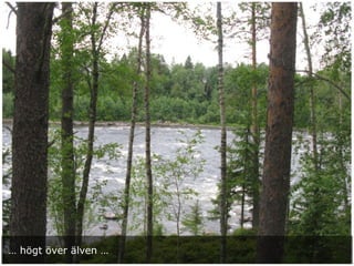 … högt över älven …
 