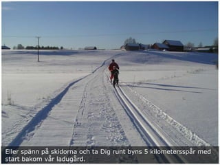 Eller spänn på skidorna och ta Dig runt byns 5 kilometersspår med
start bakom vår ladugård.
 