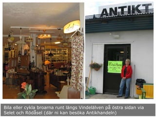 Bila eller cykla broarna runt längs Vindelälven på östra sidan via
Selet och Rödåsel (där ni kan besöka Antikhandeln)
 