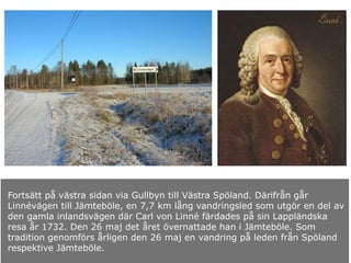 Fortsätt på västra sidan via Gullbyn till Västra Spöland. Därifrån går
Linnévägen till Jämteböle, en 7,7 km lång vandringsled som utgör en del av
den gamla inlandsvägen där Carl von Linné färdades på sin Lappländska
resa år 1732. Den 26 maj det året övernattade han i Jämteböle. Som
tradition genomförs årligen den 26 maj en vandring på leden från Spöland
respektive Jämteböle.
 