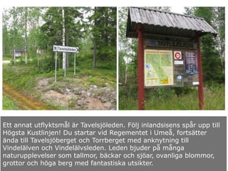 Ett annat utflyktsmål är Tavelsjöleden. Följ inlandsisens spår upp till
Högsta Kustlinjen! Du startar vid Regementet i Umeå, fortsätter
ända till Tavelsjöberget och Torrberget med anknytning till
Vindelälven och Vindelälvsleden. Leden bjuder på många
naturupplevelser som tallmor, bäckar och sjöar, ovanliga blommor,
grottor och höga berg med fantastiska utsikter.
 