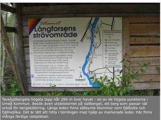 Tavelsjöbergets högsta topp når 284 m över havet - en av de högsta punkterna i
Umeå Kommun. Besök även utsiktstornet på Vallberget, ett berg som passar väl
också för bergsklättring. Längs leden finns sällsynta blommor som fjälltolta och
fjällnejlika. Det är lätt att hitta i terrängen med hjälp av markerade leder. Här finns
många färdiga rastplatser.
 