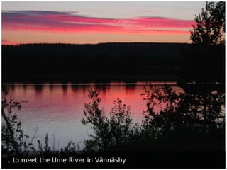 … to meet the Ume River in Vännäsby

 