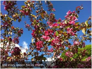 And every season has its charm.

 