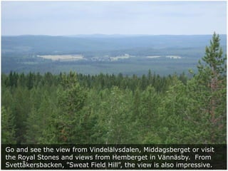 Go and see the view from Vindelälvsdalen, Middagsberget or visit
the Royal Stones and views from Hemberget in Vännäsby. From
Svettåkersbacken, ”Sweat Field Hill”, the view is also impressive.

 