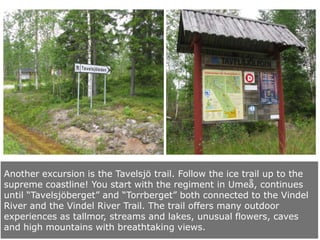 Another excursion is the Tavelsjö trail. Follow the ice trail up to the
supreme coastline! You start with the regiment in Umeå, continues
until “Tavelsjöberget” and “Torrberget” both connected to the Vindel
River and the Vindel River Trail. The trail offers many outdoor
experiences as tallmor, streams and lakes, unusual flowers, caves
and high mountains with breathtaking views.

 