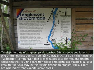 Tavelsjö mountain's highest peak reaches 284m above sea level one of the highest points in Umeå Municipality. Also visit the tower at
“Vallberget”, a mountain that is well suited also for mountaineering.
Along the trail you find rare flowers like fjälltolta and fjällnejlika. It is
easy to find your way in the terrain thanks to marked trails. There
are also many ready-made picnic areas.

 