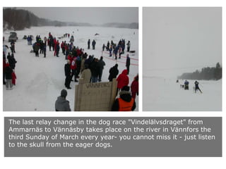 The last relay change in the dog race "Vindelälvsdraget" from
Ammarnäs to Vännäsby takes place on the river in Vännfors the
third Sunday of March every year- you cannot miss it - just listen
to the skull from the eager dogs.

 