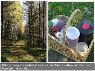 Bring your picnic or barbecue equipment for a walk along the river,
through the woods…

 