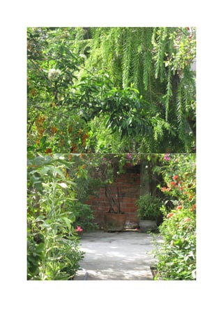 Vườn nhà   2-10-15