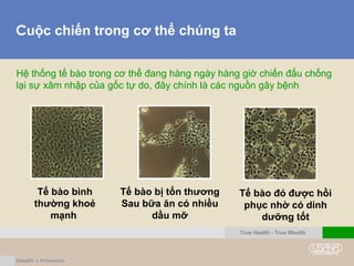 Cuộc chiến trong cơ thể chúng ta
Hệ thống tế bào trong cơ thể đang hàng ngày hàng giờ chiến đấu chống
lại sự xâm nhập của gốc tự do, đây chính là các nguồn gây bệnh
Tế bào bình
thường khoẻ
mạnh
Tế bào bị tổn thương
Sau bữa ăn có nhiều
dầu mỡ
Tế bào đó được hồi
phục nhờ có dinh
dưỡng tốt
True Health - True Wealth
 