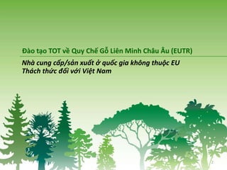 Nhà cung cấp/sản xuất ở quốc gia không thuộc EU
Thách thức đối với Việt Nam
2
Đào tạo TOT về Quy Chế Gỗ Liên Minh Châu Âu (EUTR)
 