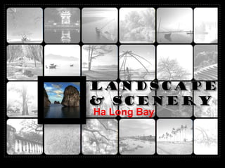 Ha Long Bay
 