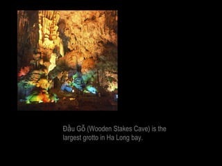 Đầu Gỗ (Wooden Stakes Cave) is the
largest grotto in Ha Long bay.
 