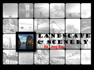Ha Long Bay
 
