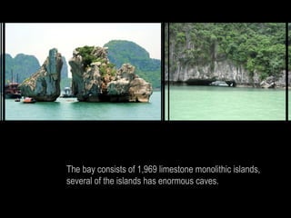 The bay consists of 1,969 limestone monolithic islands,
several of the islands has enormous caves.
 