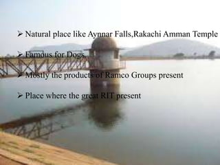  Natural place like Aynnar Falls,Rakachi Amman Temple
Famous for Dogs.
Mostly the products of Ramco Groups present
Place where the great RIT present