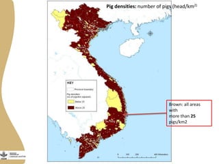 Transforming pig value chains in Vietnam: Stakeholder consultation workshop on site selection