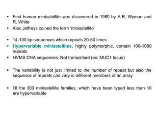  First human minisatellite was discovered in 1980 by A.R. Wyman and
R. White
 Alec Jeffreys coined the term ‘minisatellite’
 14-100 bp sequences which repeats 20-50 times
 Hypervariable minisatellites, highly polymorphic, contain 100-1000
repeats
 HVMS DNA sequences; Not transcribed (ex; MUC1 locus)
 The variability is not just limited to the number of repeat but also the
sequence of repeats can vary in different members of an array
 Of the 300 minisatellite families, which have been typed less than 10
are hypervariable
 