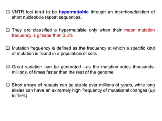  VNTR loci tend to be hypermutable through an insertion/deletion of
short nucleotide repeat sequences.
 They are classified a hypermutable only when their mean mutation
frequency is greater than 0.5%
 Mutation frequency is defined as the frequency at which a specific kind
of mutation is found in a population of cells
 Great variation can be generated –as the mutation rates thousands-
millions, of times faster than the rest of the genome
 Short arrays of repeats can be stable over millions of years, while long
alleles can have an extremely high frequency of mutational changes (up
to 15%).
 