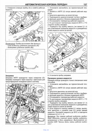 АВТОМАТИЧЕСКАЯ КОРОБКА ПЕРЕДАЧ 137
2. Отверните сливную пробку (А) и слейте рабочую
жидкость.
Примечание: Пробка выполняет две функции:
- слив жидкости (удаление горловины (А))
- дозаправка (удаление пробки (В)):
Заправка
Заправка АКПП проводится через отверстие (D).
Заправку проводите через воронку с фильтром для
предотвращения попадания грязи в систему.
1. Установите автомобиль на горизонтальной пло­
щадке.
2. Залейте в АКПП 3,5 литра свежей рабочей жид­
кости.
3. Запустите двигатель на холостой ход.
4. Подсоедините диагностический тестер и выбери­
те функцию диалога с блоком управления АКПП.
5. Отслеживайте температуру рабочей жидкости.
6. По достижении температуры жидкости 60°С ± 1°С
откройте пробку заправки.
7. Подведите под пробку емкость (не менее 0,1 л)
для улавливания излишков жидкости и дожидайтесь
слива жидкости капля за каплей.
Проверка уровня жидкости
Проверку всегда проводите только описанным ниже
способом.
1. Установите автомобиль на горизонтальной пло­
щадке.
2. Залейте в АКПП 0,5 литра свежей рабочей жид­
кости.
3. Запустите двигатель на холостой ход.
4. Подсоедините диагностический тестер и выбери­
те функцию диалога с блоком управления АКПП.
5. Отслеживайте температуру рабочей жидкости.
6. По достижении температуры жидкости 60°С ± 1°С
откройте пробку заправки.
7. Подведите под пробку емкость (не менее 0,1 л)
для улавливания излишков жидкости и дожидайтесь
слива жидкости капля за каплей.
8. Если жидкости слилось менее 0,1 литра, выклю­
чите двигатель и долейте еще 0,5 литра свежей
жидкости. Прогрейте жидкость до 50°С и повторите
операции по п.п. 3 - 6 .
Внимание: При замене рабочей жидкости необхо­
димо обнулить счетчик срока службы жидкости,
встроенный в блок управления. Выполняется ко­
мандой NXR "Запись даты смены рабочей жидко­
сти".
vnx.su
 