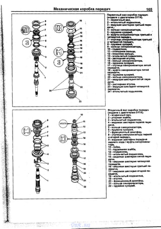 Механическая коробка передач 165
Перви~ный ваn коробки nереда~
(модели с двигателем D17А).
1• nервичный ваn,
2 • иrоnь~атый nодшиnник,
3 ·ведущая шестернR третьей nере­
да~и";
4 • кольцо синхронii38Т'ОР8,
5 • nружина суuрей,
6 • Муфта СИНХронИ38ТОра тprrbliЙ И
четиртой nередвч,
7 • c:тyri ица синхро11113111'0ре третыtJi
и '18Т118ртоJi nередвч, ·
В • nружина с:;харей,
.&• кольцо синхрон1138Торе,
10 • nодwиnник,
11 • стоnорное коnьцо,
12 ·конусное коnьцо,
13. иrоnьчатыj;.nодwиnннк,
14 • расnорная втулка,
15 • копьцо синхрониэаторе,
16 • nJIY"'ИH8 сухареЙ,
17 • ступица синхрониэатора nятой
пвредачи1
18 • муфта синхронизатора IUIТOЙ
передачи,
19 • nружина сухарей,
20 • кольцо синхронизатора,
21 • ведущая ше<:Терня пятой пере­
дачи,
22 • распорная втулка,
23 • ведущая шестерня четвертой
передачи,
24 ·игольчатый подшипник.
Вторичный вап коробки передач
(модели с дв!!гатепем D17A).
1 -вторичны и вал,
2 • уnорная шайба,
3 ·игольчатый подшиnник,
4. ведомая шестерня первой пере·
дачи, -
5 • кольца синхронизатора,
6 • nружина сухарей,
7 • фрикционный демпфер, •
8 - стуnица синхронизатора первон
и второй nередач,
9 • ведомая шестерня nередачи
заднего хода 1муфта синхрониза·
таре,
10- гайка,
11 - nружииная шайба,
12 - подшипник,
13. игольчатый nодшипник,
14. ведомая шестерня nятой пере-
~~'::едомая шестерня ~етвертой
передаЧи, ..
16- ведомая шестерня третьем пе-
редачи; •
17. ведомая шестерня еторои пе­
редачи,
1·а- игоЛьчатый подшипник,
19 • вrулка, .
20 - фрихционнь1ii демпфер,
21 - коnьца синхронизаторе,
22 • пружина сухарей.
vnx.su
 