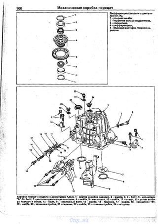 166 Механическая коробка передач
~3
~,1
Дифференциал (модели с двигате­
лем D17A).
1 - уnорная wайба,
2 • наружное кольцо nодwиnника,
3 ·nодшиnник,
4- дифференциаn,
5 • ведомая wестерня главной nе­
редачи.
Коробка nередач (модели с двигателем К20А). 1 • картер коробки nередач, 2 • wайба, 3, 4. болт, 5 • кронwтейн
~дw, 6 ·болт, 7 • масnонаnраеляющая nластина, 8 • wайба, 9 • масnосток, 10 • wайба, 11 • wтифт, 12 ·рычаг выбо- -
ра nередач в сборе, 13 • боnт, 14 • стоnорный бопт, 15 • wайба, 16. nружина, 17. шарик, 18. кронwтейн wвw,
19 • wайба, 20- заливная пробка, 21 ·сальник, 22- wайба, 23- сливная пробка, 24- заглушка.
vnx.su
 