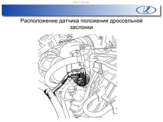 Расположение датчика положения дроссельной
заслонки
http://vnx.su/
 