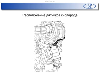 Расположение датчиков кислорода
http://vnx.su/
 