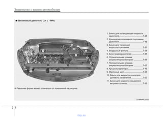 Знакомство с вашим автомобилем
82
1. Бачок для охлаждающей жидкости
двигателя.........................................7-48
2. Крышка маслозаливной горловины
двигателя.........................................7-45
3. Бачок для тормозной
жидкости/сцепления .......................7-51
4. Воздушный фильтр.........................7-58
5. Блок предохранителей ...................7-85
6. Отрицательная клемма
аккумуляторной батареи ................7-65
7. Положительная клемма
аккумуляторной батареи ................7-65
8. Крышка радиатора..........................7-49
9. Масляный щуп ................................7-44
10. Бачок для жидкости усилителя
рулевого управления ....................7-53
11. Бачок для жидкости омывателя
ветрового стекла ...........................7-55
ODMNMC2020
■■ Бензиновый двигатель (2,4 L - MPI)
❈ Реальная форма может отличаться от показанной на рисунке.
vnx.su
 