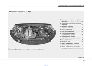 2 9
Знакомство с вашим автомобилем
OXM079100
1. Бачок для охлаждающей жидкости
двигателя.........................................7-48
2. Крышка маслозаливной горловины
двигателя.........................................7-45
3. Бачок для тормозной
жидкости/сцепления .......................7-51
4. Воздушный фильтр.........................7-58
5. Блок предохранителей ...................7-85
6. Отрицательная клемма
аккумуляторной батареи ................7-65
7. Положительная клемма
аккумуляторной батареи ................7-65
8. Крышка радиатора..........................7-49
9. Масляный щуп ................................7-44
10. Бачок для жидкости усилителя
рулевого управления ....................7-53
11. Бачок для жидкости омывателя
ветрового стекла ...........................7-55
■■ Бензиновый двигатель (3,3 L - MPI)
❈ Реальная форма может отличаться от показанной на рисунке.
vnx.su
 