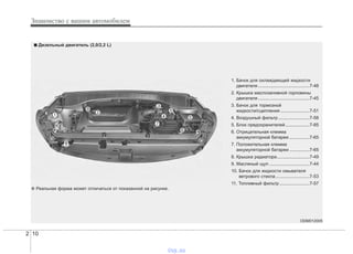 Знакомство с вашим автомобилем
102
ODM012005
1. Бачок для охлаждающей жидкости
двигателя.........................................7-48
2. Крышка маслозаливной горловины
двигателя.........................................7-45
3. Бачок для тормозной
жидкости/сцепления .......................7-51
4. Воздушный фильтр.........................7-58
5. Блок предохранителей ...................7-85
6. Отрицательная клемма
аккумуляторной батареи ................7-65
7. Положительная клемма
аккумуляторной батареи ................7-65
8. Крышка радиатора..........................7-49
9. Масляный щуп ................................7-44
10. Бачок для жидкости омывателя
ветрового стекла...........................7-53
11. Топливный фильтр ........................7-57
■■ Дизельный двигатель (2,0/2,2 L)
❈ Реальная форма может отличаться от показанной на рисунке.
vnx.su
 