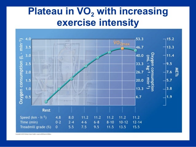What Does A Vo2 Max Of 60 Mean